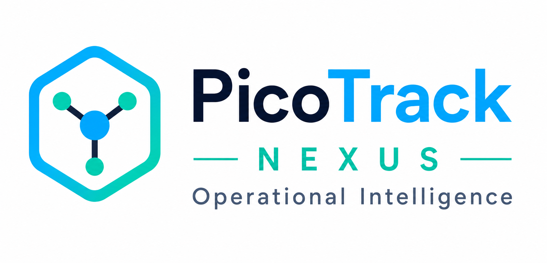 PicoTrack Logo